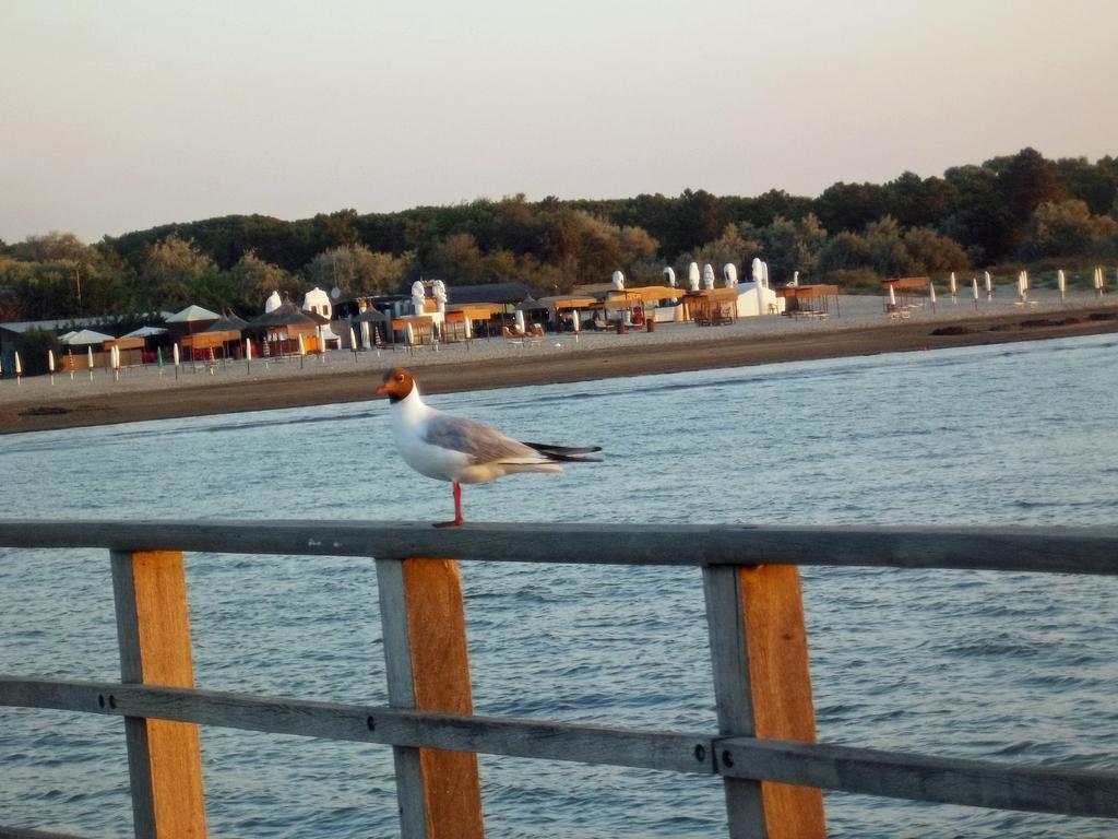 La Via Del Volano Otel Codigoro Dış mekan fotoğraf